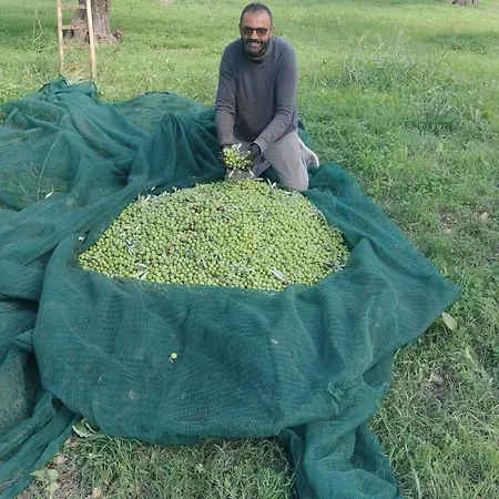Appartement Casa Blu' Con Terrazza Panoramica Partanna